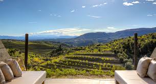 Priorat wine and food tour