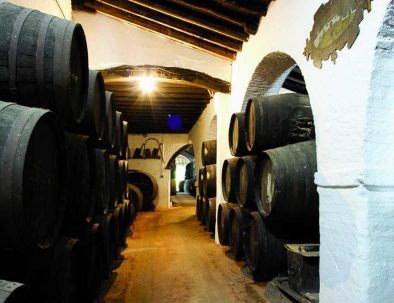 5 charming bodegas en Seville