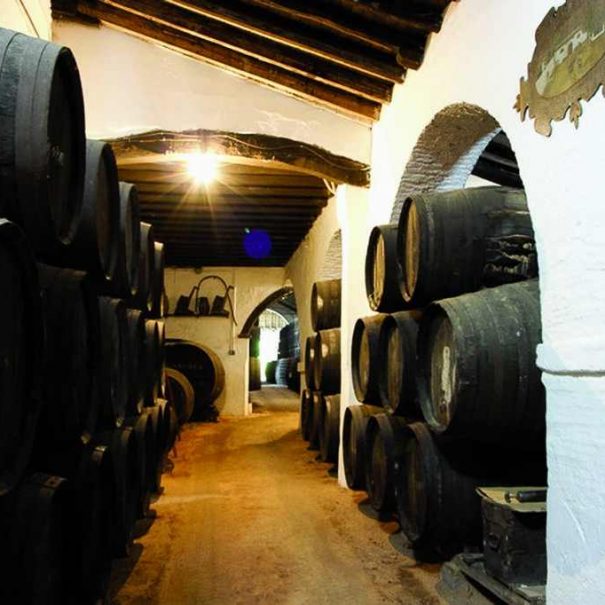 5 charming bodegas en Seville