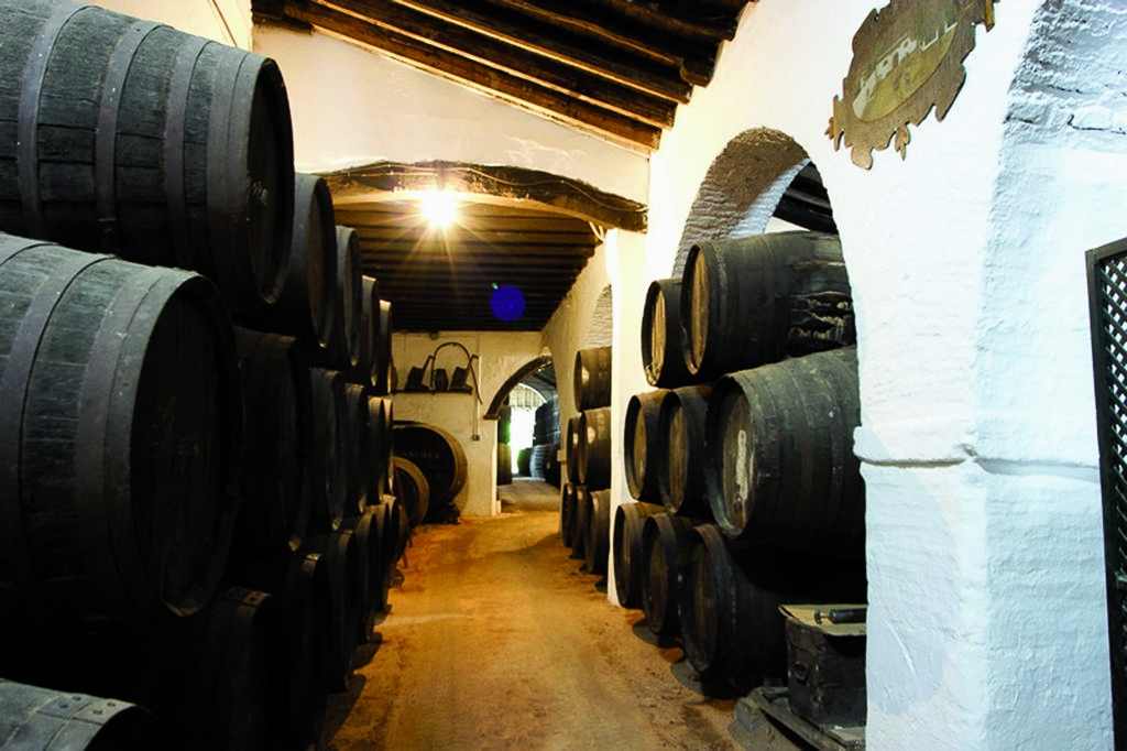 5 charming bodegas en Seville