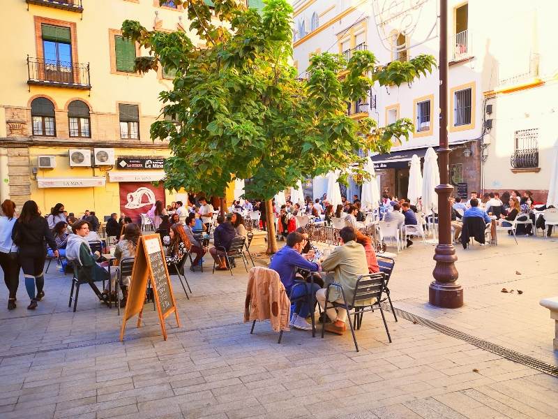 lunch stemning på et torg i Sevilla