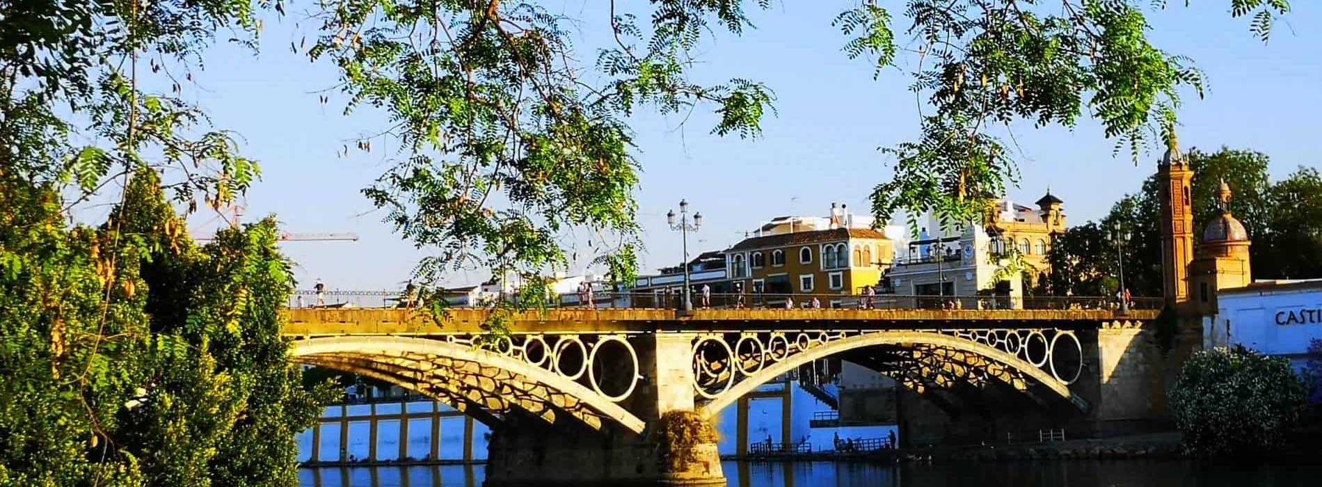 view of puente de triana with green leaves