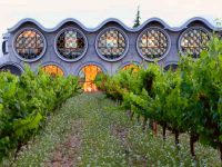 private-food-tour-penedes-9